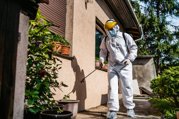 Best Ant Control Services  in Ponderay, ID