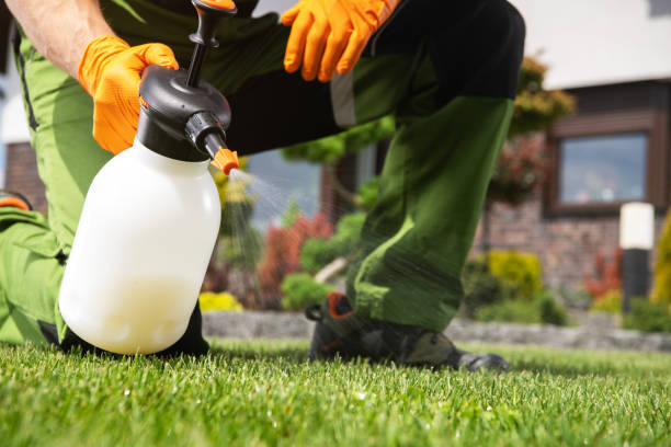 Best Commercial Pest Control Services  in Ponderay, ID