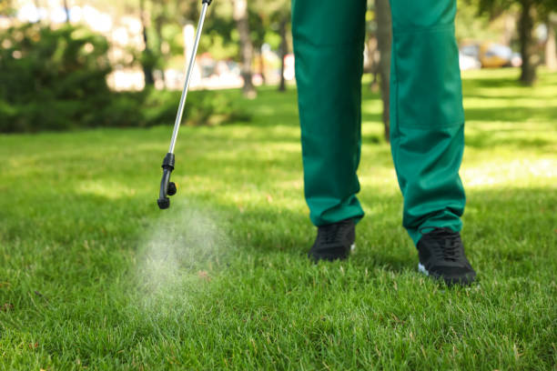 Best Best Pest Control Companies  in Ponderay, ID