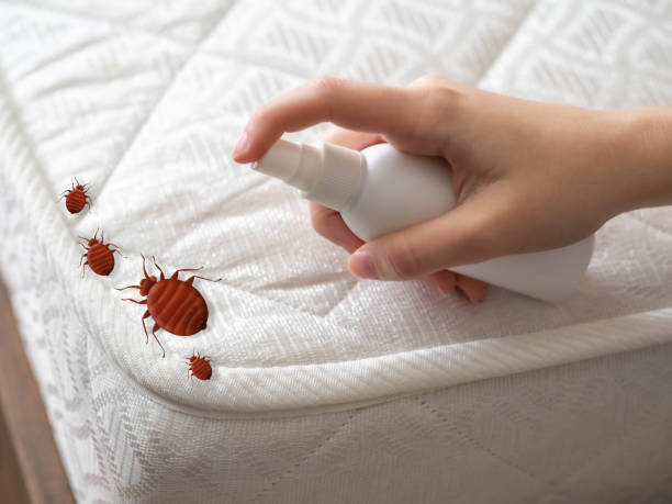 Best Pest Prevention Services  in Ponderay, ID