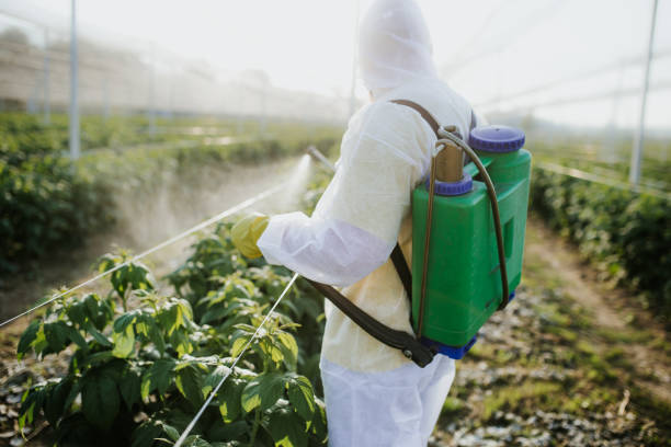 Best Emergency Pest Control  in Ponderay, ID